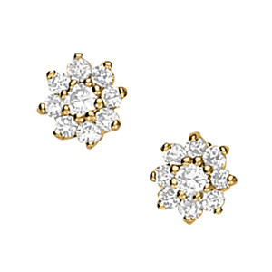 EARRINGS CLUSTER