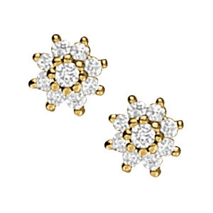 EARRINGS CLUSTER