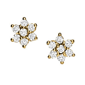 EARRINGS CLUSTER