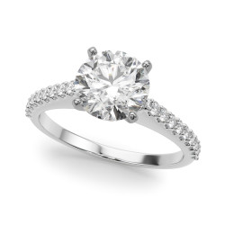 REMOUNT RING