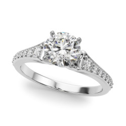 REMOUNT RING